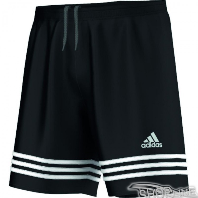 adidas entrada 14 junior