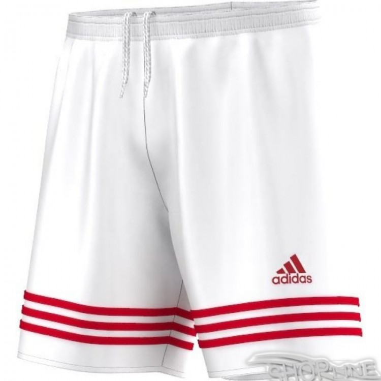 adidas entrada 14 junior