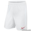 Kraťasy Nike Park II M - 725887-102