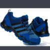 Obuv Adidas TERREX AX2R GTX - BB1986