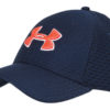 Šiltovka Under Armour Men's Blitzing 3.0 Cap - 1305038-408