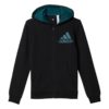 Mikina Adidas Essentials Logo Full Zip Hoodie Junior - BP8787