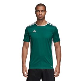 Futbalový dres Adidas Entrada 18 - CD8358