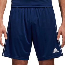 Kraťasy Adidas CORE 18 TR Short M - CV3995
