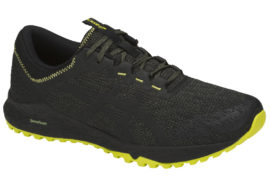 Asics Alpine XT T828N-8116