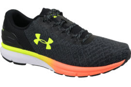 Under Armour Charged Escape 2 3020333-008