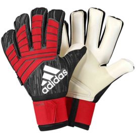 Brankárske rukavice Adidas PRO FS - CW5583