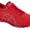 Asics Gel-Quantum 360 Knit 2 T840N-602