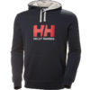 Helly Hansen Logo Hoodie 33977-597