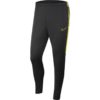 Futbalové tepláky Nike Dry Academy M - AJ9729-061