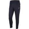 Športové tepláky Nike Dry Academy 19 Pant WPZ M - BV5836-451