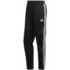 Futbalové tepláky adidas Tiro 19 Pes Pant M D95924