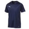 Puma-703509-06