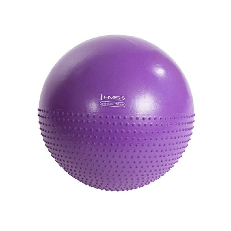 Masážna gymnastická lopta HMS YB03 55cm purple – Obrázok 2