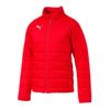 Puma-655301-01