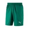 Puma-703436-05