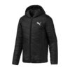 Puma-580009-01