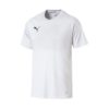 Puma-703509-04