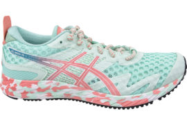 Asics Gel-Noosa Tri 12 1012A578-300