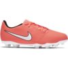 Nike-AO0396-810