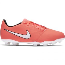 Nike-AO0396-810
