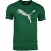 Puma-586011-01