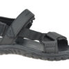Skechers Reggae-Elsinore 204114-BBK