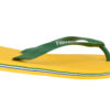Havaianas Brasil Logo 4110850-1652