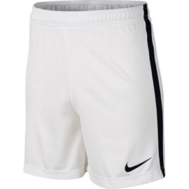 Nike-832901-101