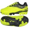 Joma-TOJW.2011.24