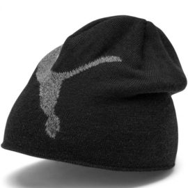 Puma-022330-02