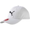 Puma-052919-02