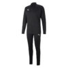 Puma Ftblplay Tracksuit 656818-06