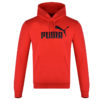Puma ESS Hoody FL Big Logo 851743-05