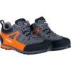 Alpinus-GR43298