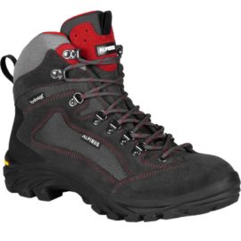 Alpinus-GR43305