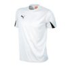 Puma-701269-04