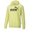 Puma Essentials Big Logo Hoodie 586687-40