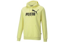 Puma Essentials Big Logo Hoodie 586687-40