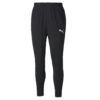 Puma ftblPLAY Training Pants 656946-01