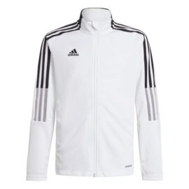 adidas-GM7313