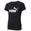 Puma-587029-01
