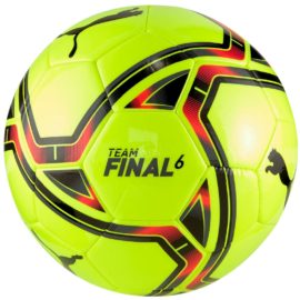 Puma Team Final 21.6 Ms Ball 083311-11