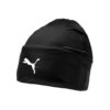 Puma-022355-03