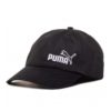 Puma-022543-02