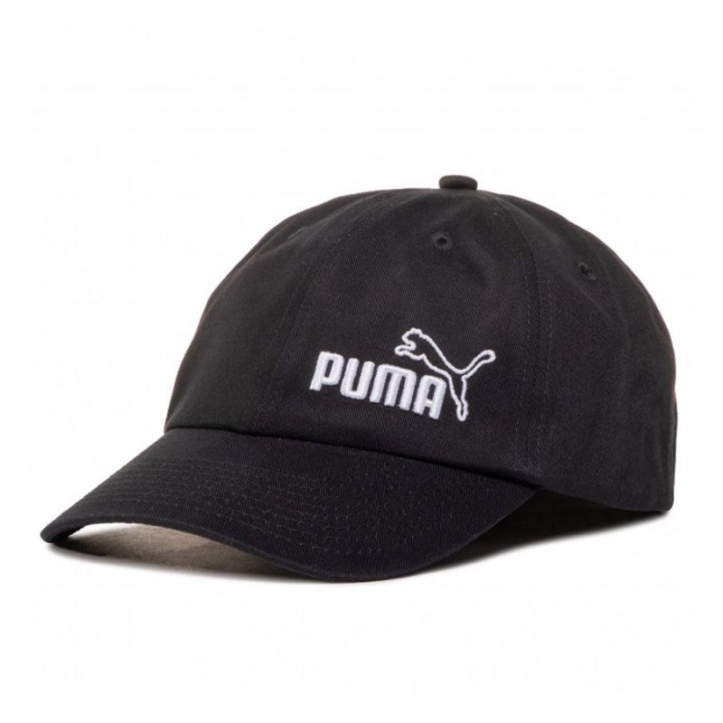 Puma-022543-02
