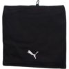 Puma-052212-02