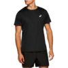 Asics-2011C341-001
