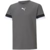 Puma-704938-13