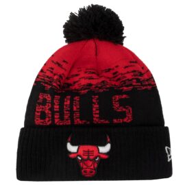 New Era Chicago Bulls NBA Sport Hat 12122723